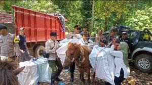 Distribusi Logistik Pemilu di Daerah Terpencil Pakai Kuda, Polres Jember Lakukan Pengawalan Jalan Kaki