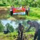 Polsek Loceret Bersama Perkawis Gelar Penanaman Pohon Pisang di Desa Ngepeh untuk Dukung Ketahanan Pangan