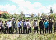 Kodam IX/Udayana Kawal Ketahanan Pangan, Agrinas Serap Gabah Petani Badung