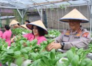 Dukung Ketahanan Pangan, Polda Kalteng Bersama Bhayangkari Panen Ikan dan Sayuran Hidroponik