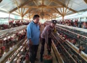 Kapolres Pasuruan Apresiasi Inisiatif Bhabinkamtibmas Kembangkan Pangan Lokal