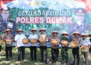 Sukseskan Ketahanan Pangan Nasional, Polres Demak Panen Jagung
