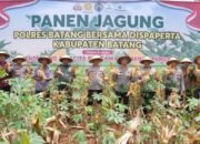 Dukung Asta Cita Presiden, Polres Batang Panen Jagung di Lahan 177 Hektar