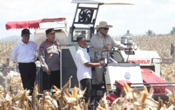 Presiden Prabowo: Kapolri, Panglima, hingga Para Menteri Tokoh Patriotik Wujudkan Swasembada Pangan