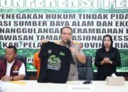 Polda Riau Tangkap Penjual Lahan di Hutan Tesso Nilo