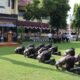 Pembukaan Pembinaan dan Tradisi Bintara Remaja, Kapolres Kendal Tekankan Profesionalisme dan Loyalitas
