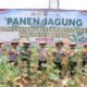Sukses Panen Raya di Subah, Polres Batang Dorong Kemandirian Pangan dan Ekonomi Petani Lokal