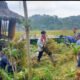 Polsek Limbangan Dampingi Warga Panen Padi, Dukung Ketahanan Pangan Nasional