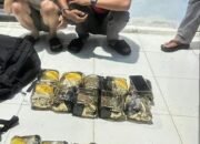 Polisi Berhasil Gagalkan Peredaran Narkoba Jaringan Malaysia dengan Barang Bukti 20 kg