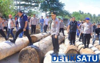 Kapal Tongkang Kayu Ilegal Kandas di Pesisir Barat, Kapolda Lampung Turun Langsung: ‘Tak Ada Ruang untuk Illegal Logging!