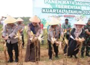 Polda Kepri Gelar Panen Raya Jagung Serentak Kuartal I, Wujud Dukungan Nyata Swasembada Pangan Nasional 2026