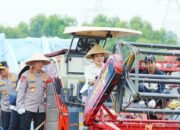 Sukses Panen 3,5 Juta Ton Jagung Sepanjang 2025, Kapolri: Target Tahun 2026 Siap Tuntaskan Swasembada Pangan