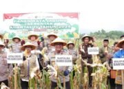 Hadiri Panen Raya Jagung Serentak Kuartal I 2026, Kapolda Sulsel Tegaskan Peran Polri Dukung Ketahanan Pangan Nasional