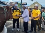 Jelang Haul ke-6 KH. Ahmad Zuhdiannor, Kapolda Kalsel Serahkan Dua Sapi Limosin untuk Konsumsi Jemaah