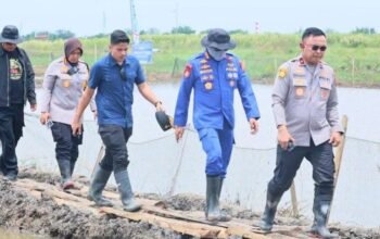 Wujudkan Ketahanan Pangan Nasional, Wakapolda Metro Jaya Tinjau Lahan Produktif 49 Hektar di Muara Gembong
