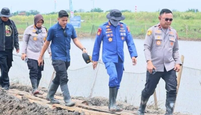 Wujudkan Ketahanan Pangan Nasional, Wakapolda Metro Jaya Tinjau Lahan Produktif 49 Hektar di Muara Gembong